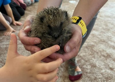 Ježkův rok – ZŠ K. Pokorného – akce pro předškoláky